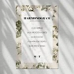 harmonogram No.16
