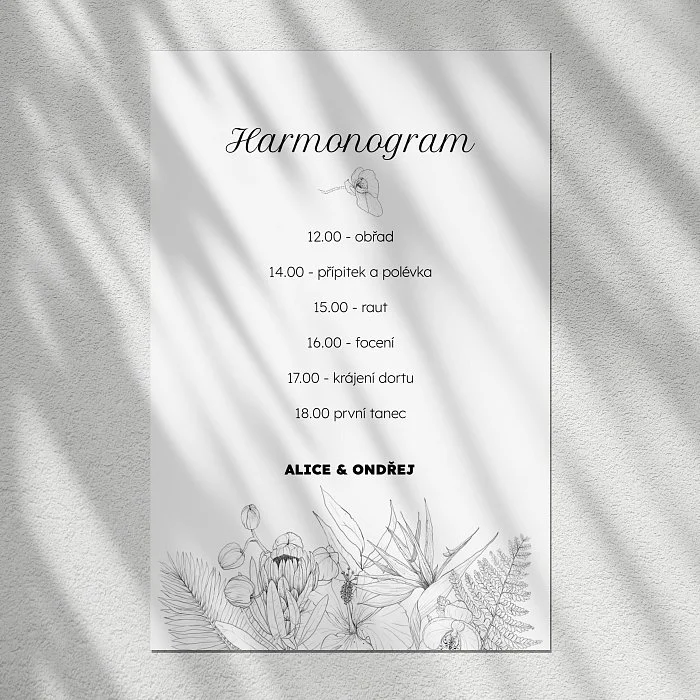 harmonogram No.13