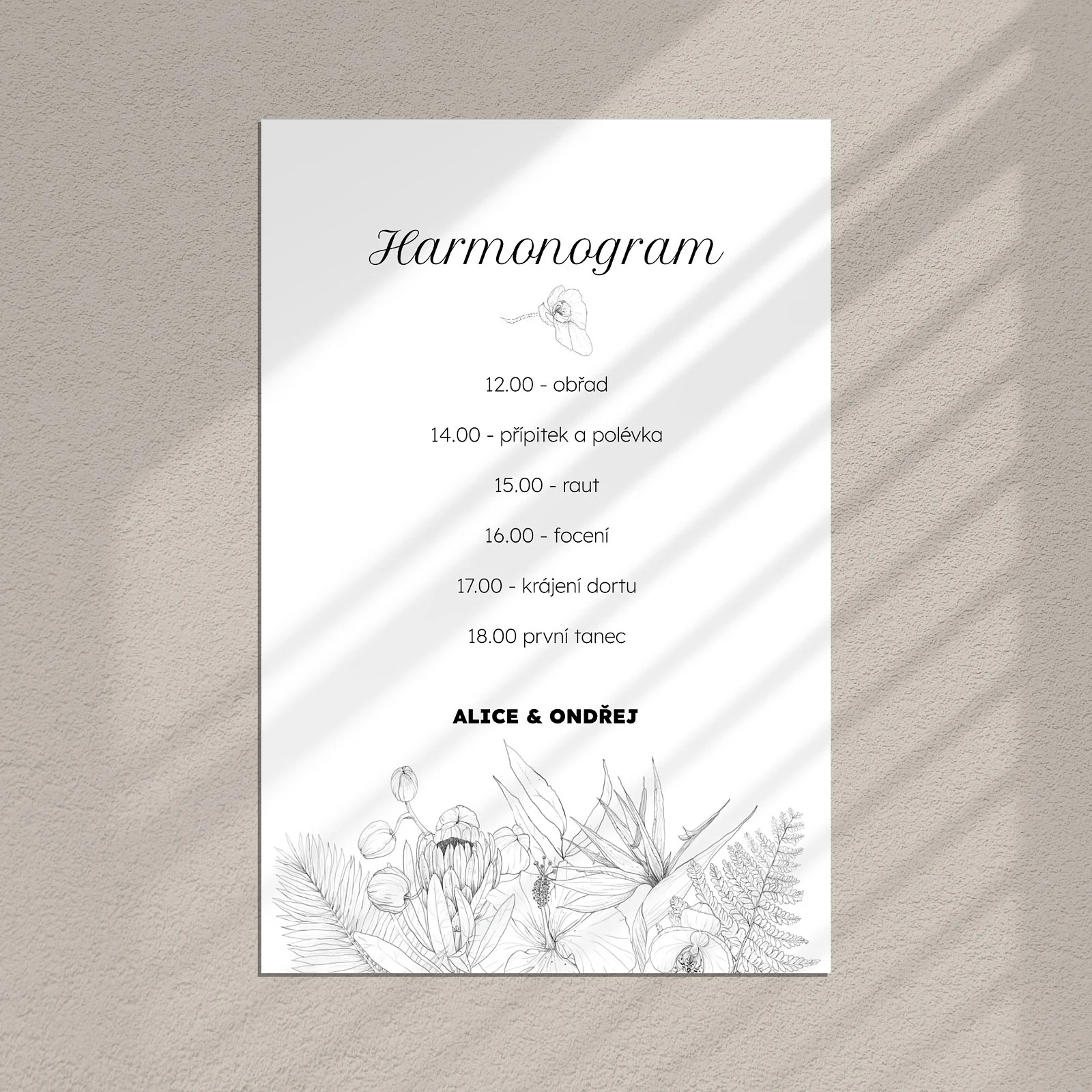 harmonogram No.13