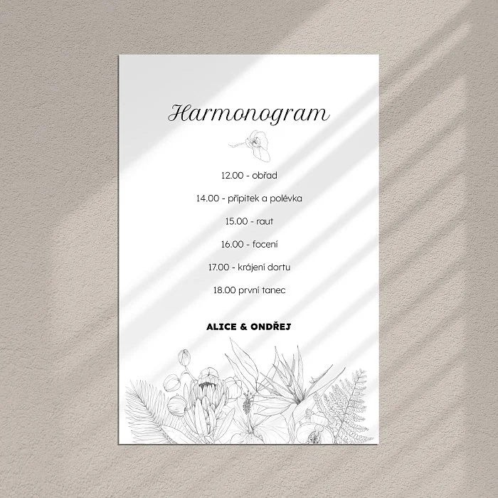 harmonogram No.13